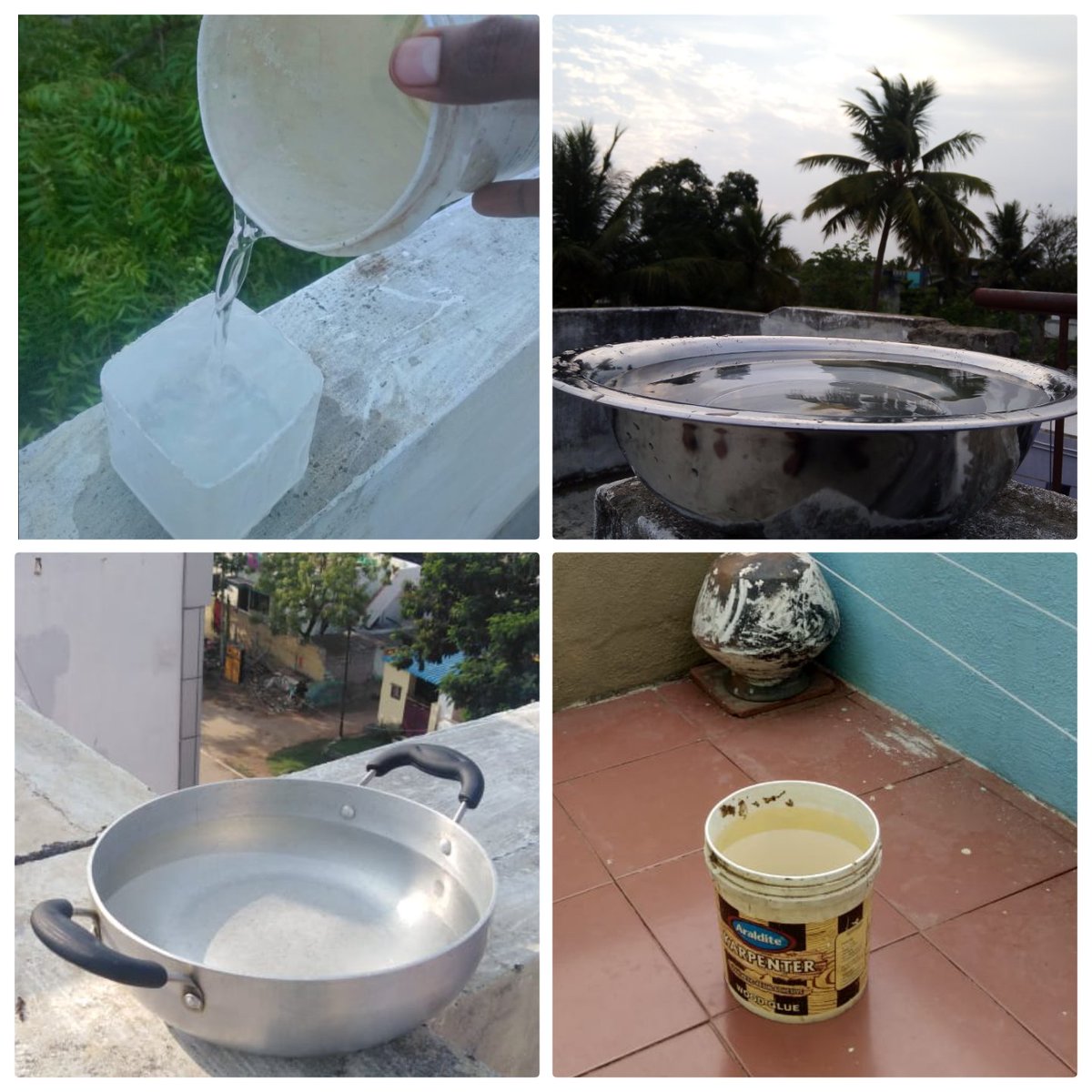 #FeedtheBirds
#SavetheNature

“Feeding birds means feeding our-self! Birds are part of nature and feeding nature is nothing but feeding our-self!”

Team #GGEH pledged to Feed the Birds Every Morning..