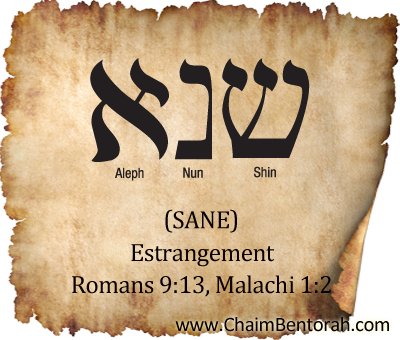 HEBREW WORD STUDY – ESTRANGEMENT – SANE שנא Sene Nun Aleph Ro 9:13 As it is written, Jacob have I loved, but Esau have I hated. Malachi 1:2: “I have loved you, saith the LORD. #Malachi12 #Romans913 bit.ly/3d7D64i