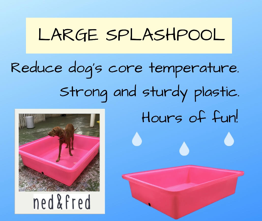 nedandfredUK's tweet image. Summer is knocking on the door and with that comes warmer weather, longer nights and puppies who need paddling pools! Help cool down your dogs on sunny days with our #splashpools!  #dogs #products zcu.io/9JGi