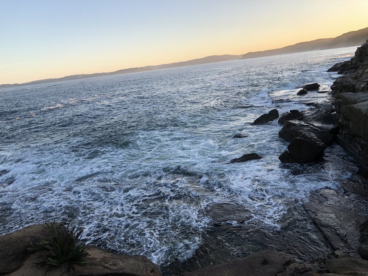 Day 2/7 of #mylifeinpictures Rules: no people, no words, no explanation. Challenge a new person each day. I was challenged by - <a href="/djmarsh24/">Prof Deborah Marsh</a> I challenge <a href="/jsha4695/">Jaynish Shah</a> 
<a href="/Kristiedickso10/">Kristie dickson</a>