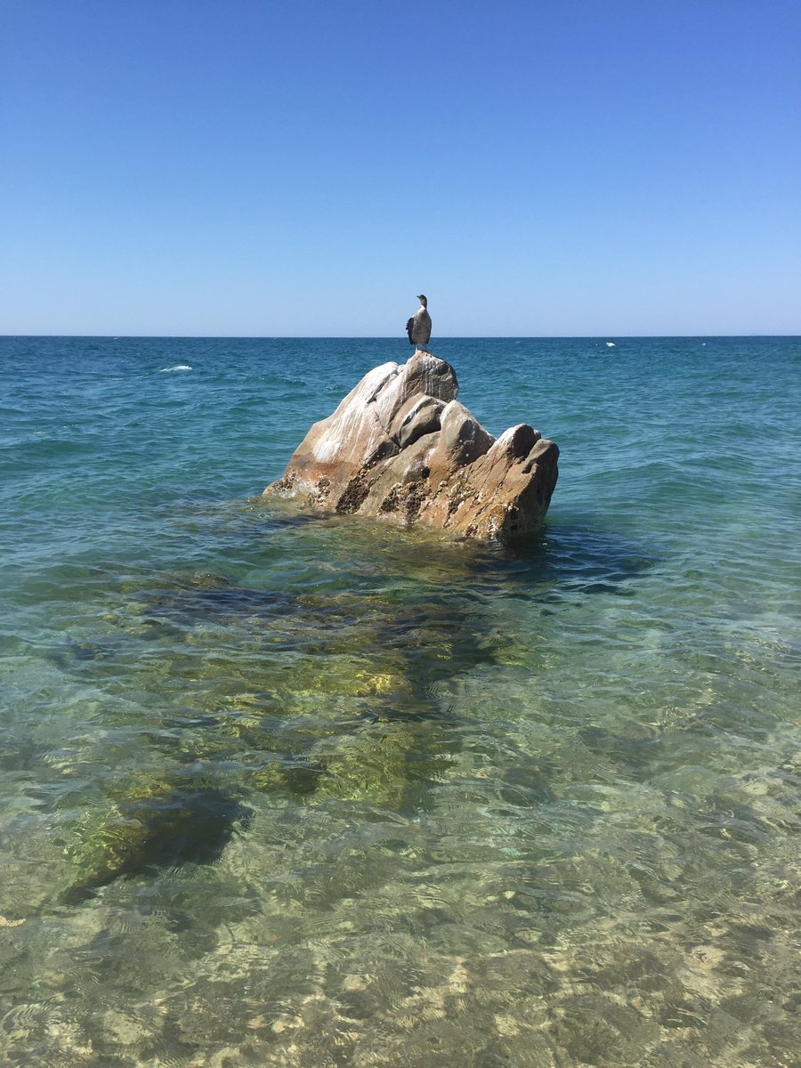 Em sap greu!
No em puc banyar. 
Ens haurem d’esperar...
Vaig al bar a fer una cervesa.