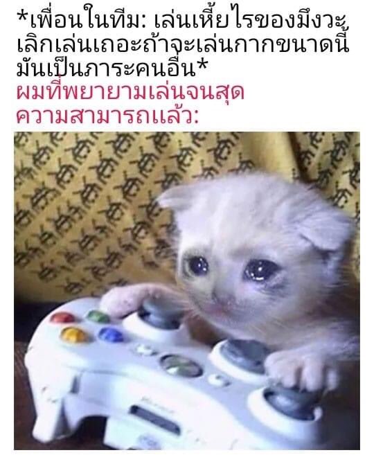 จูเย่ะ 🧸 tweet media