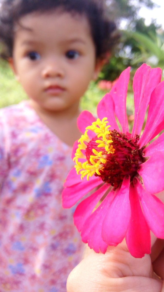 AlFaznu's tweet photo. 🌸🌸🌸 https://t.co/7xvIb0Aui6