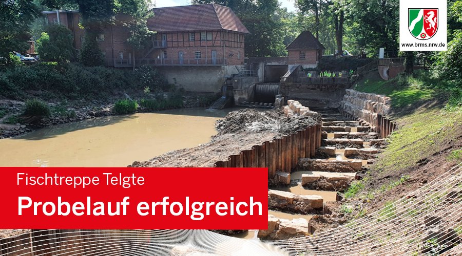 Der Probelauf der 17 von insgesamt 32 Becken der Fischtreppe #Telgte war erfolgreich. Die Strömungsverhältnisse haben sich wie geplant eingestellt. Im nächsten Arbeitsschritt müssen die Bodenmassen wieder entfernt und die Baustraße im unteren Teil zurückgebaut werden.
