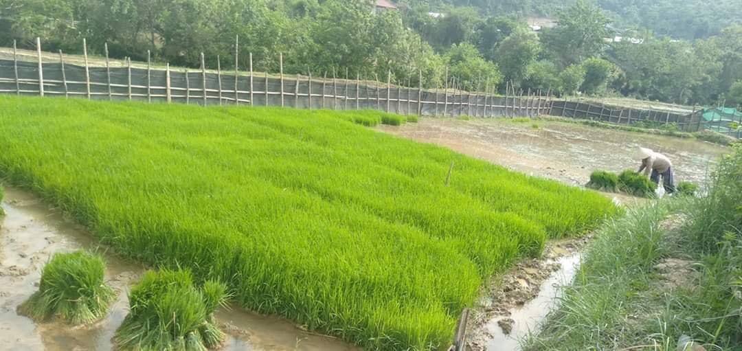 simthisom's tweet image. 