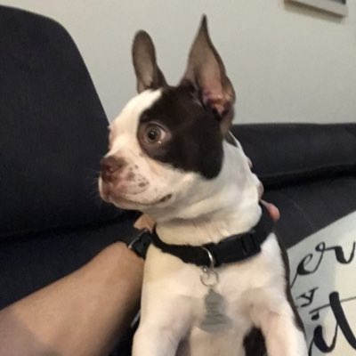 RolanMicor's tweet photo. #NewProfilePic https://t.co/OLJMYQ5WlT