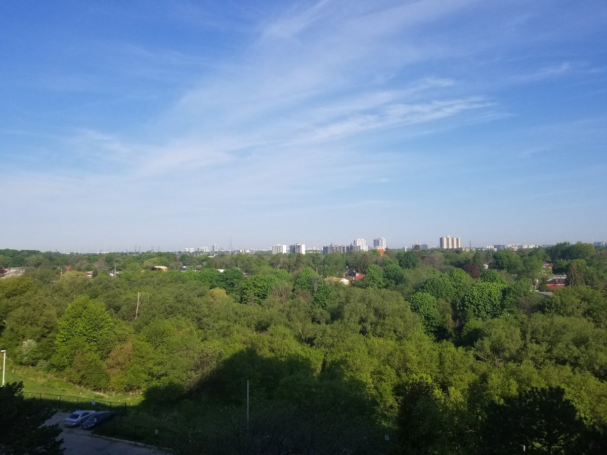 missy_dee_0021's tweet photo. 8am. Gonna be hot again today. And I'm here for it! ♡ #MorningView #ViewsFromThe6ix #WhiteBlocks https://t.co/j2qPkZToN4