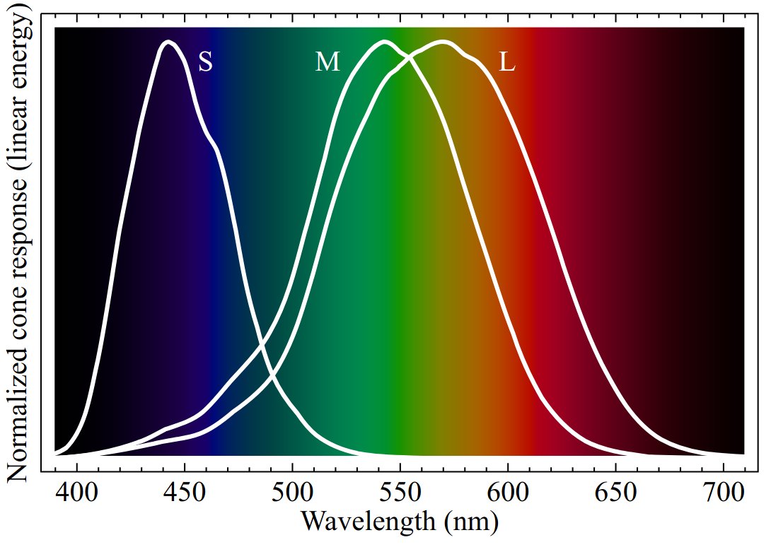 On the other hand, it's impossible to stimulate *only* our "M" cones (which are especially perceptible to green light), because any light spectrum will always *also* stimulate the S or L cones! :O