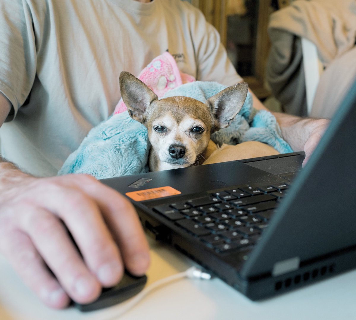 MudraSheffield's tweet photo. Be honest, who’s been working from home in this way? 😄⠀
⠀
#WorkFromHome #homeoffice #remotework https://t.co/ZVk2r58O5V