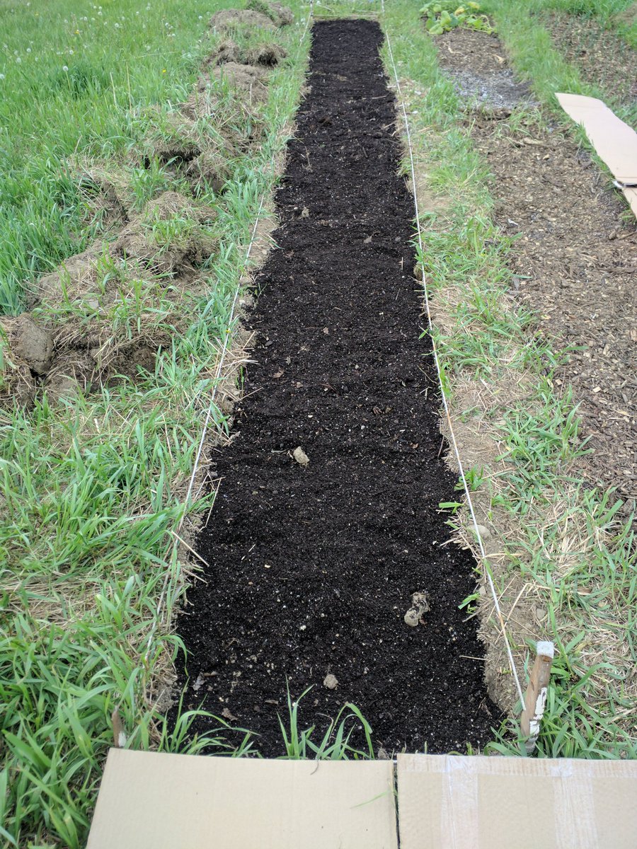 This compost is the first layer I put down in my garden beds. Notice how dark and rich it looks compared to the Earth I am putting it in.