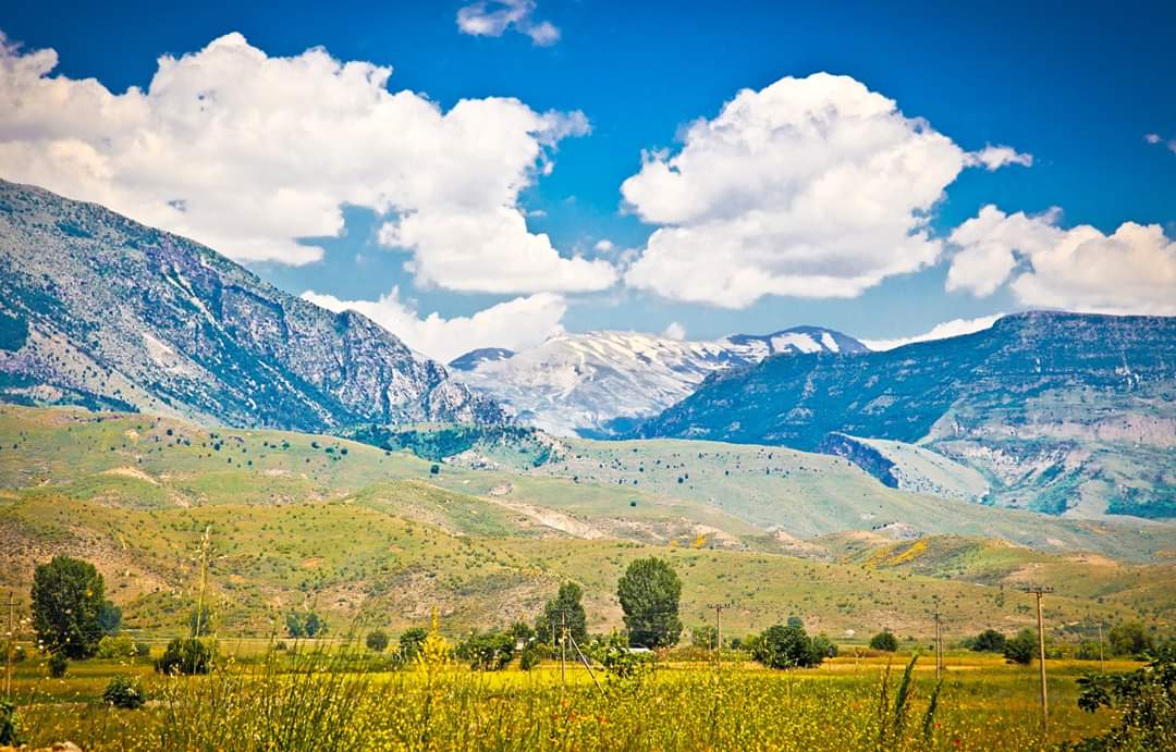 ErjonDodaal's tweet photo. Natyrë....☀️⛅️🌳
📣 Ky vit të jetë viti i eksplorimit të Shqipërisë...
Zbuloni Shqipërinë 🇦🇱
🔔 Ndani me ne ➡️ magjinë e kujtimeve tuaja 🇦🇱 në vendin më të bukur...
Shqipëria është plot me vende magjike, e destinacione të reja për tu vizituar...

#VisitAlbania✈️
#SmileAlbania😀 https://t.co/vsPUtcD2AK