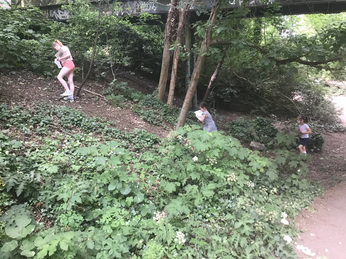 AshmountPrimary's tweet photo. Our key worker children had a lovely time on their nature scavenger hunt this morning. #outdoorlearning #keyworkeroffer https://t.co/sWHqk65p0t