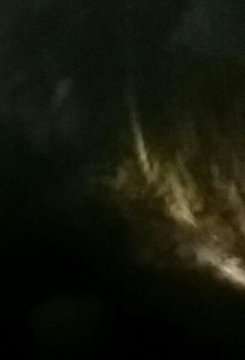 Abdalrhman (@abdalrh25041841) on Twitter photo 