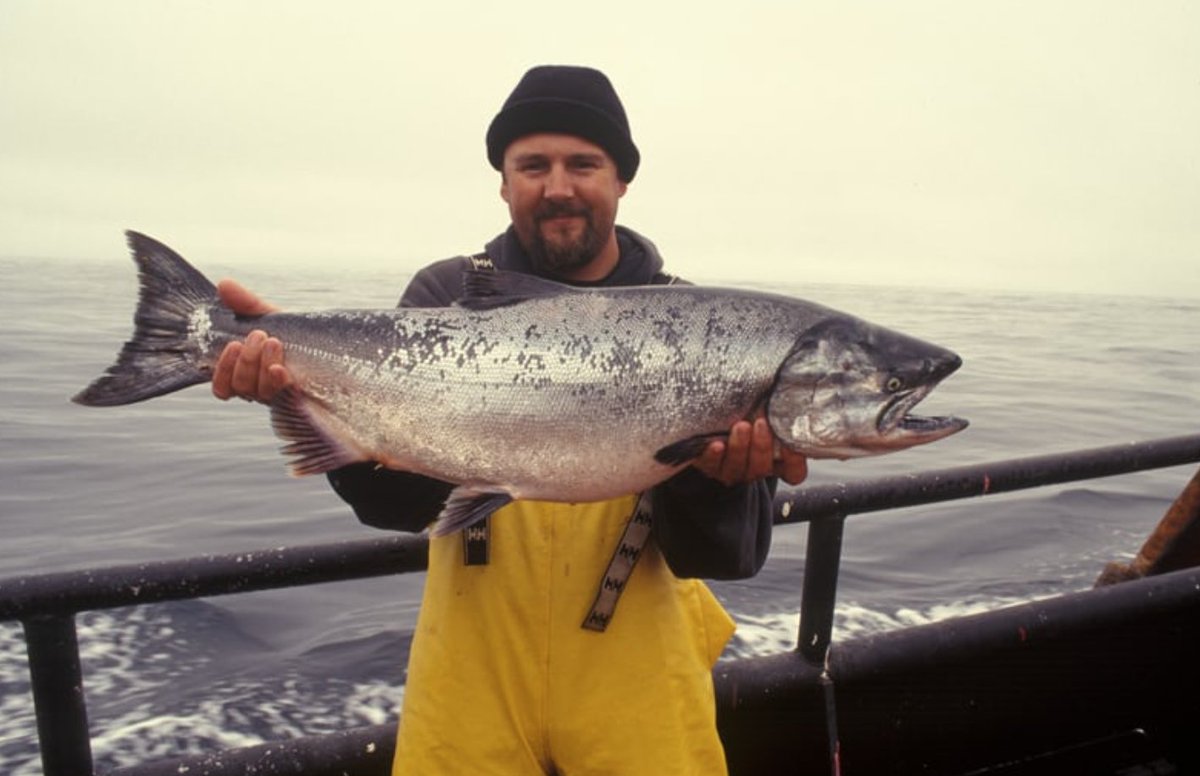 WorldFoodConne3's tweet photo. #Chile continues to be a solid food supply chain and #trade partner to the U.S.: Thanks to Chile’s relentless efforts, US citizens will continue to enjoy their favorite Chilean seafood such as trout, mussels, sea bass, and #salmon. https://t.co/5vtdmvgrCw
@ProChile #trade https://t.co/NPiwrqoGN3