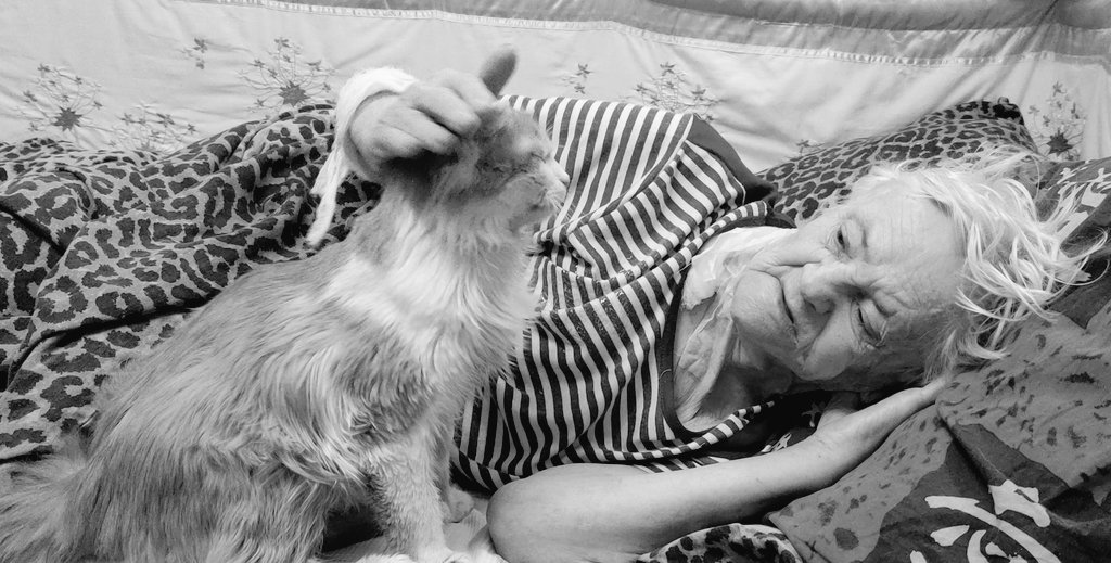 Genuine Stupidity tweet media