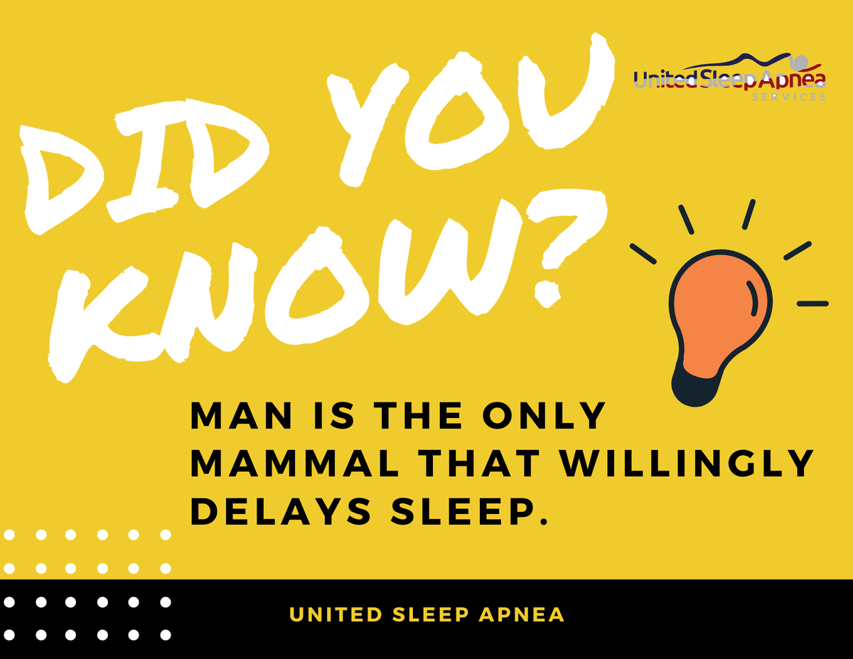 Did you know?
Man is the only mammal that willingly delays sleep.

#sleepfacts #sleeptrivia #aboutsleep