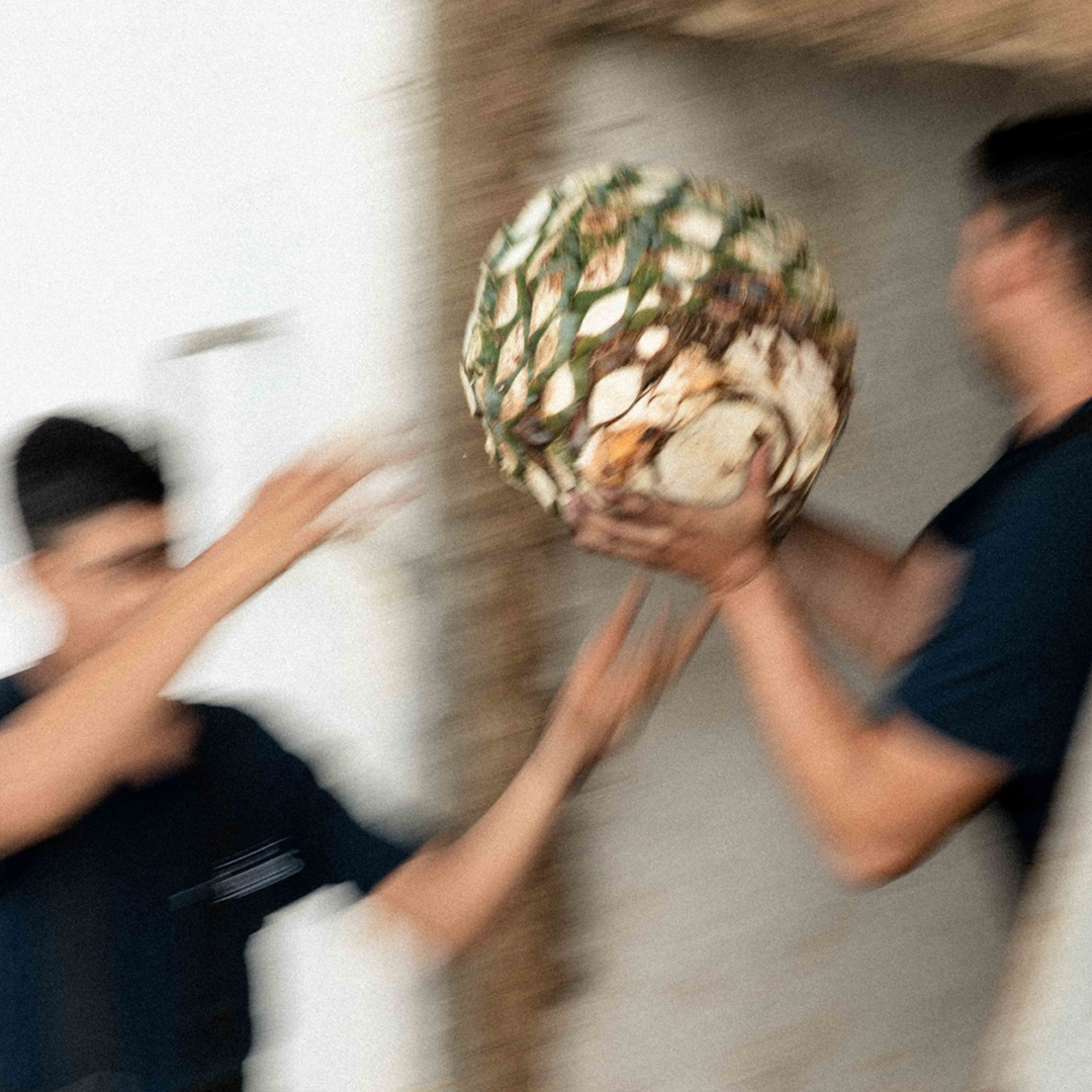 Danos Tequila on Twitter "Hacienda de Reyes is the second oldest