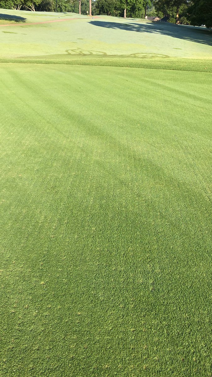 9 days post aeration.  Should be perfect in another week!