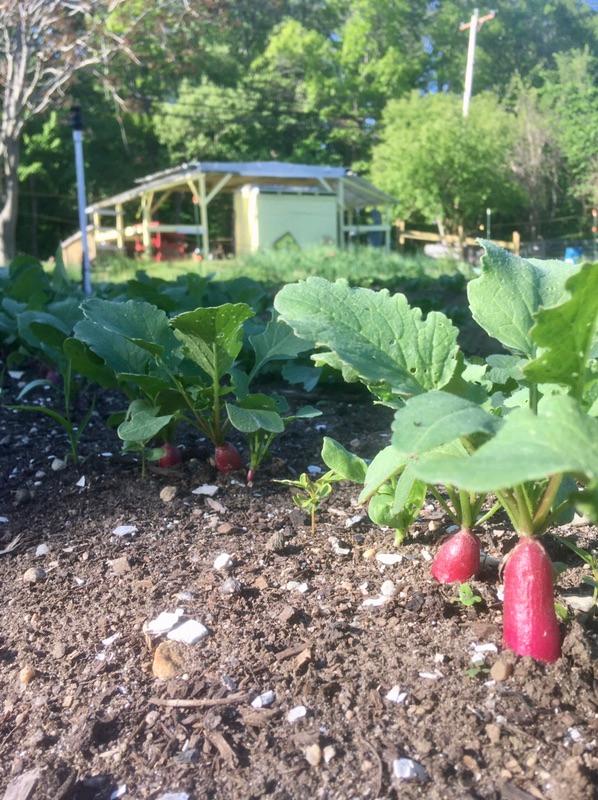 btownfarmschool photo