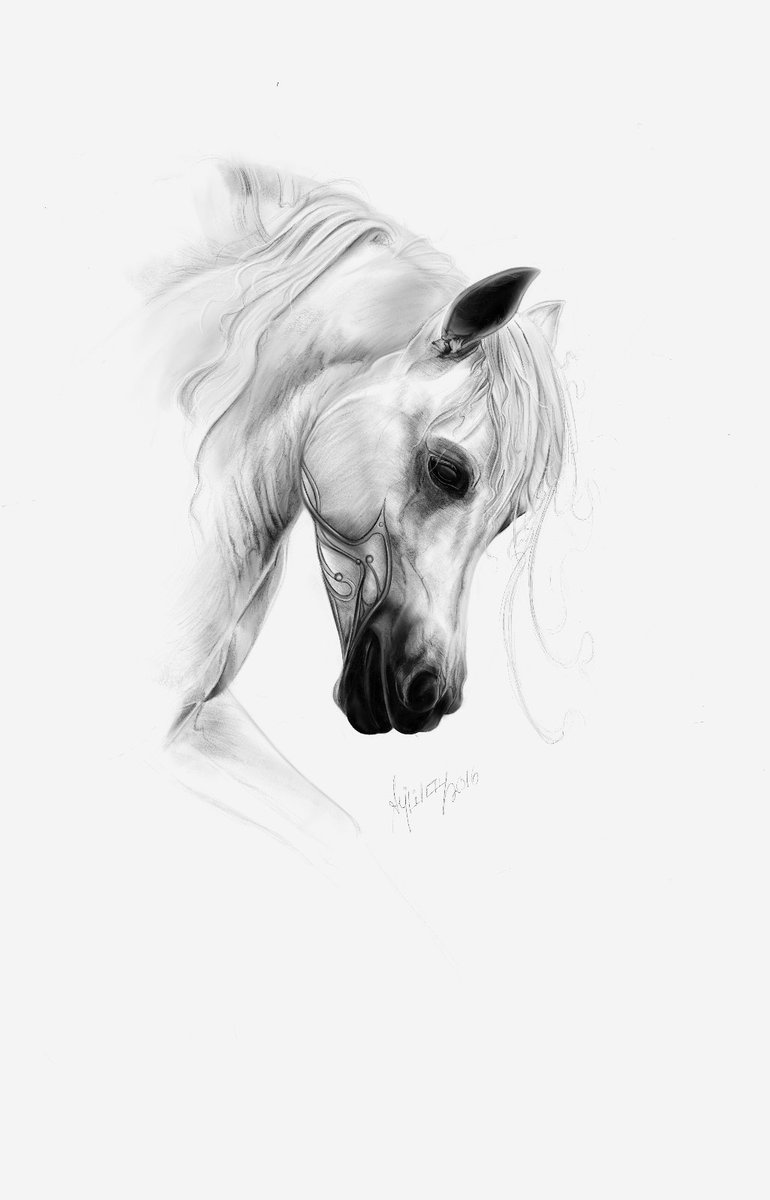 Alnasserart's tweet photo. رسم رقمي احد اعمالي #رسامين 
#فنون https://t.co/kO3eP62mHQ