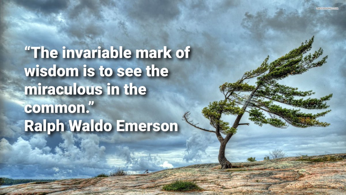 PositivelyYMM's tweet photo. Quote of the day:
“The invariable mark of wisdom is to see the miraculous in the common.”
Ralph Waldo Emerson

We are surrounded by the miraculous daily. We simply need a desire to recognize it. https://t.co/Z5sUnMrTD4