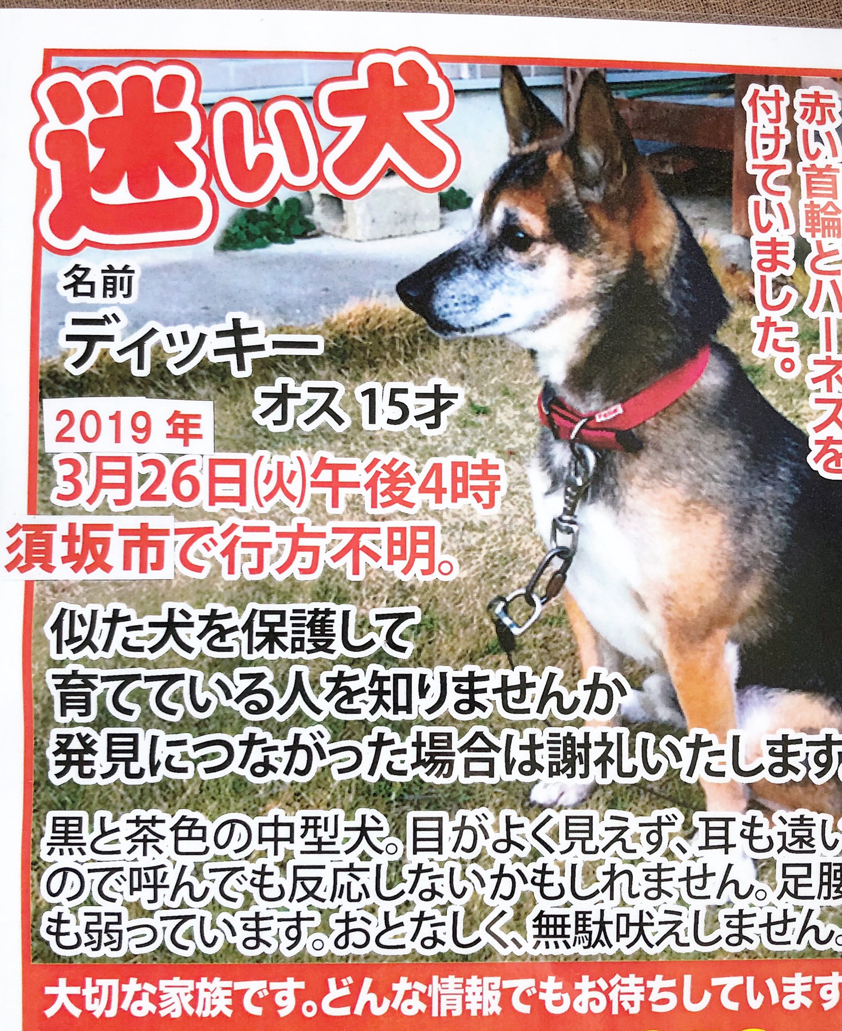 まゆ 迷子の愛犬を探してます ドッグランに掲示してた迷子のポスター 取れかかっていたのをどなたかが直してくれてありました この場をお借りしてありがとうを伝えたいです さりげなく とても大きな優しさに感謝致します ドッグラン 長野県