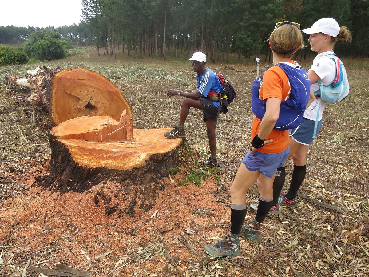 KStagerun's tweet image. For 8 days, the runners discover a new culture and its traditions, while living their passion!