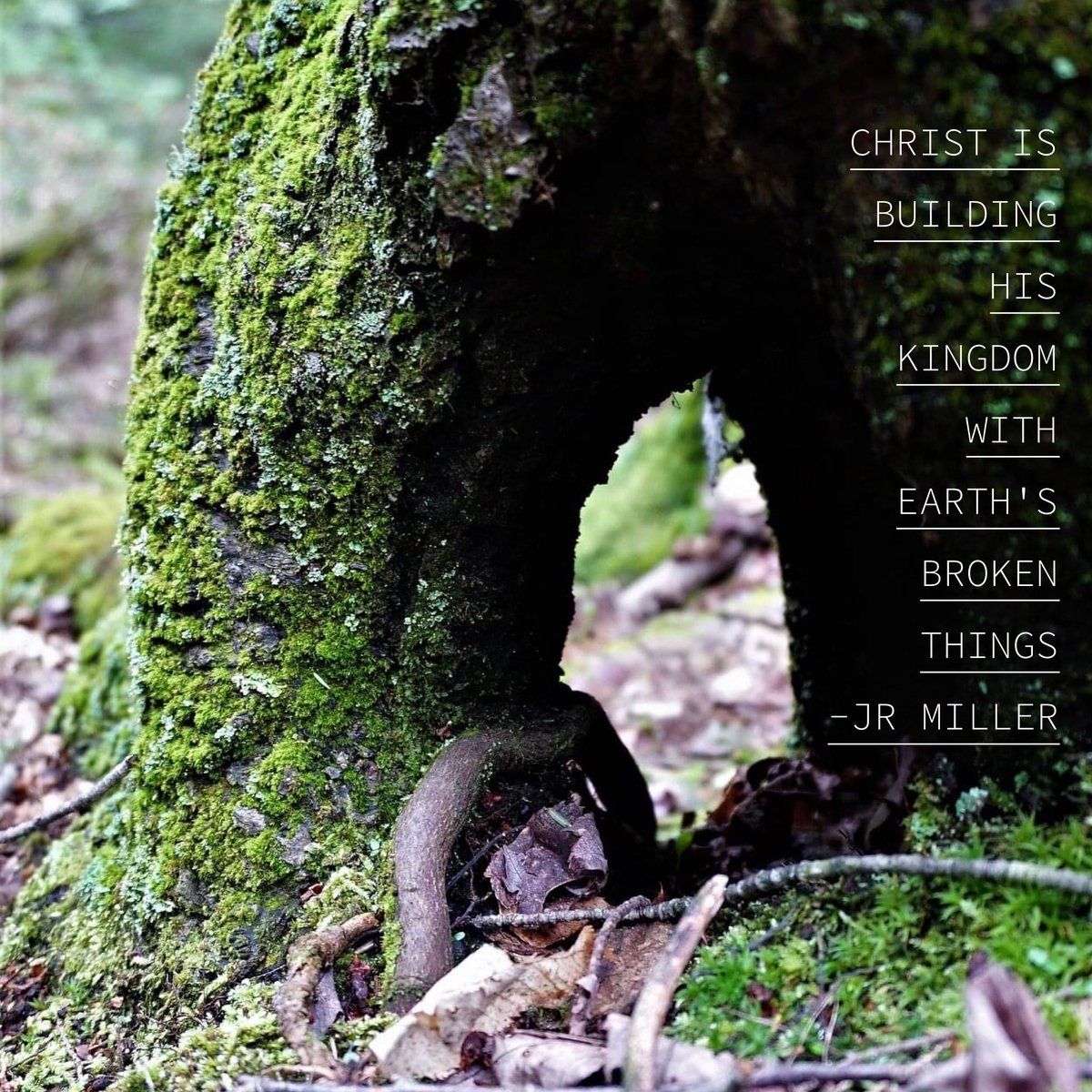#sustainability #creation #restoration #renewal #revival #compassion