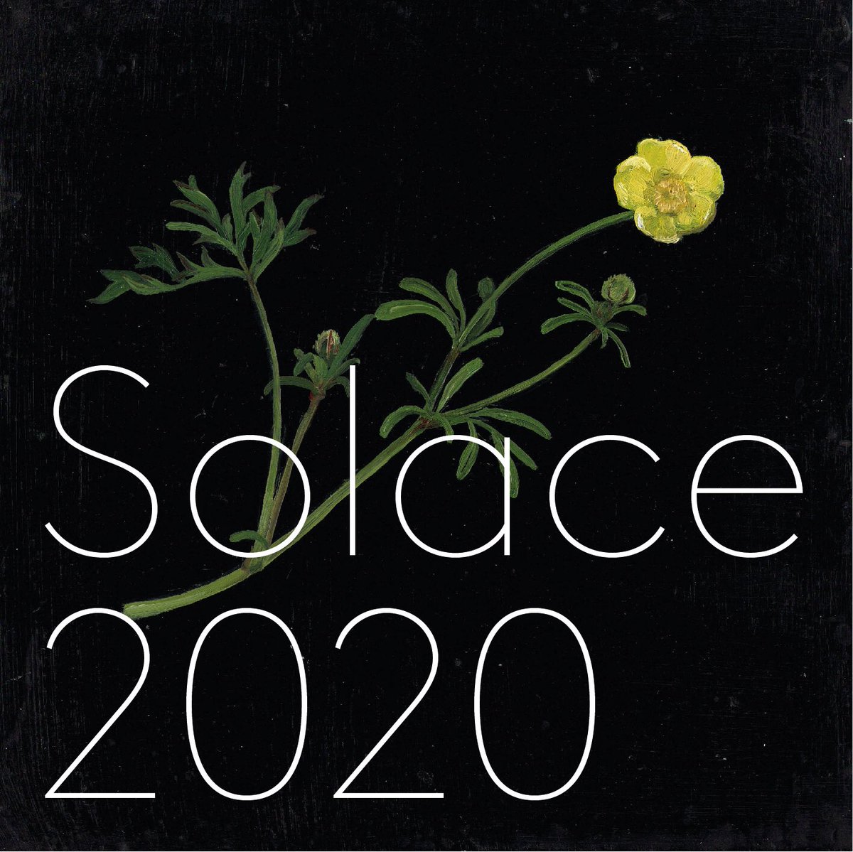 My online exhibition opening next week <a href="/longandryle/">Long & Ryle Gallery</a>