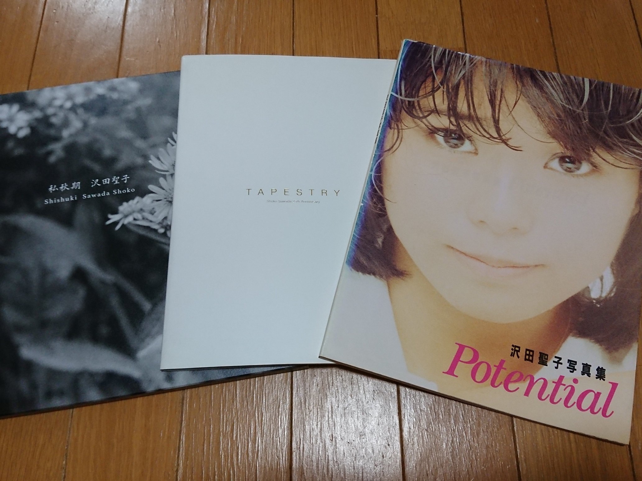 沢田聖子 写真集「Potential ポテンシャル」