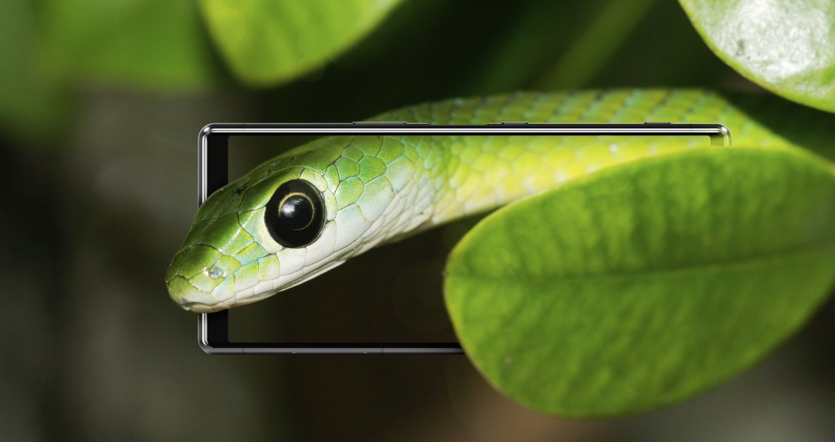 Sony Xperia Russia tweet media