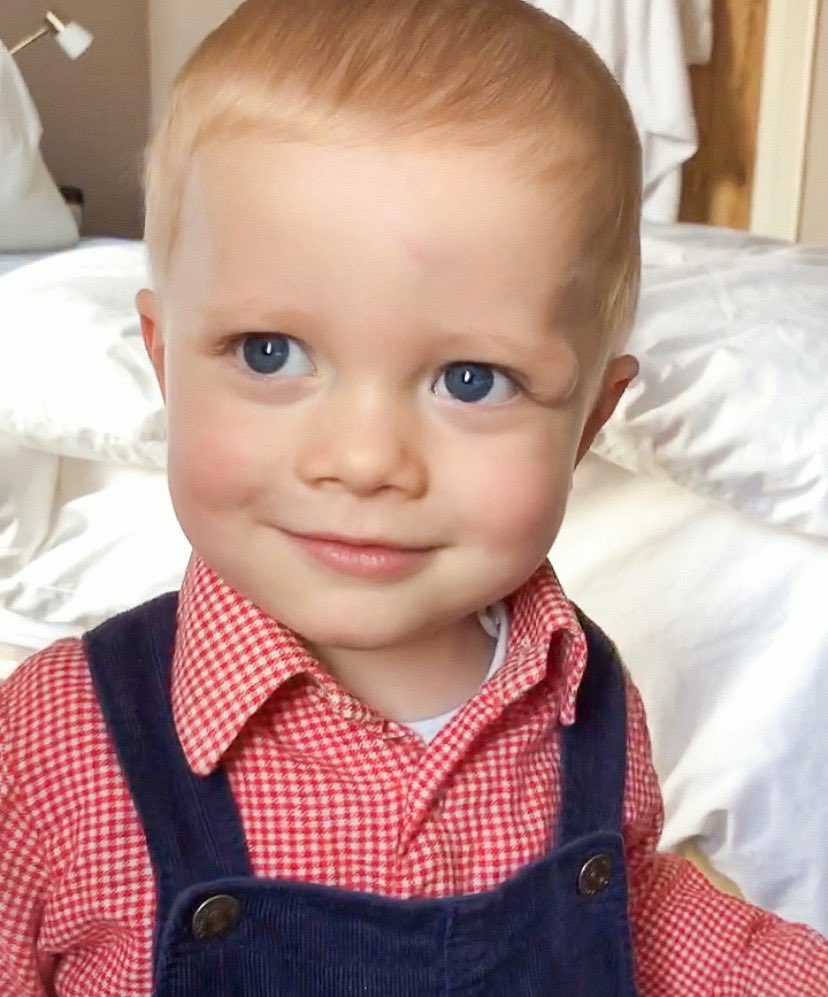 I have some very sad personal news. Our beautiful Enzo died from complications with his bone marrow transplant at GOSH last month. He was aged two and a half.1/