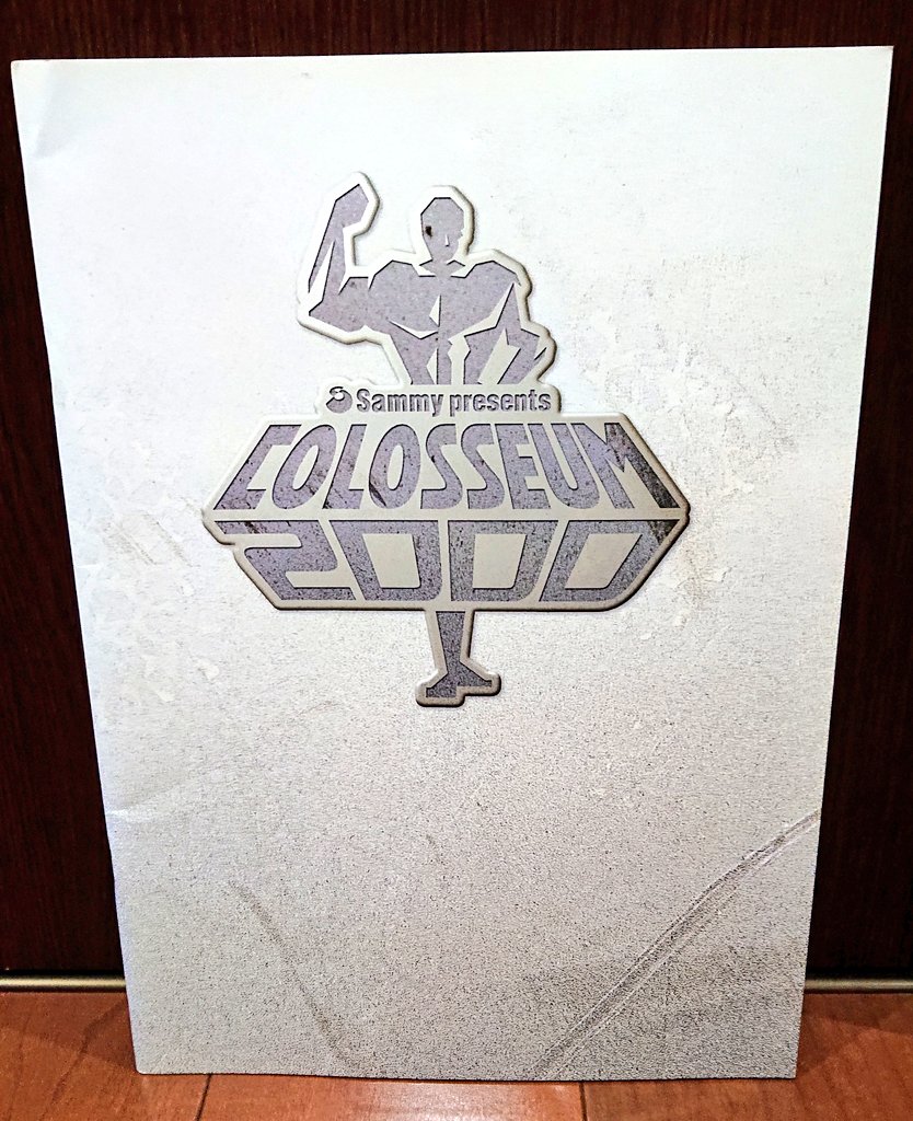 ヒクソン・グレイシーvs船木誠勝 もう20年の月日が… 観戦