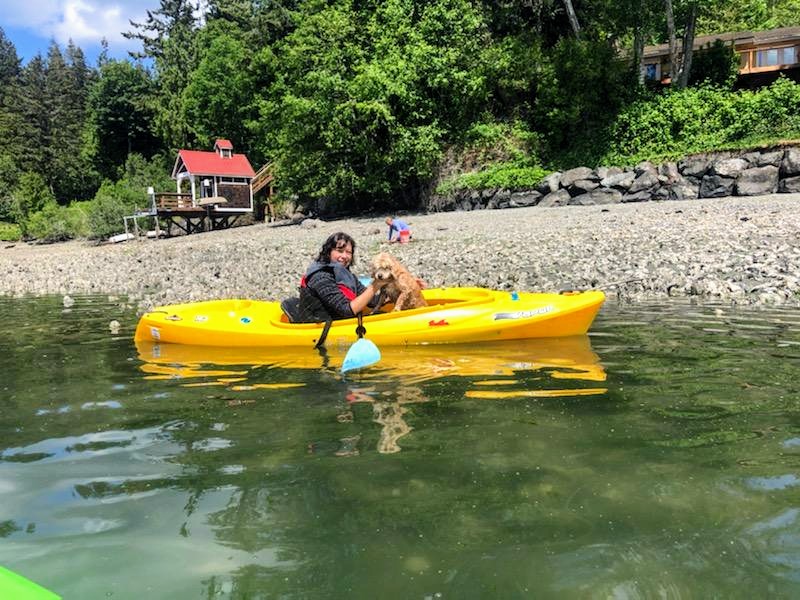 BasqueTraveler's tweet image. Even the pandemic hasn't kept me from a few safe adventures!  #kayaking #dogskayaking #pandemdicadventure #pnwlife #pnwcharm #WeAreInThisTogether #adventures #wateradventures