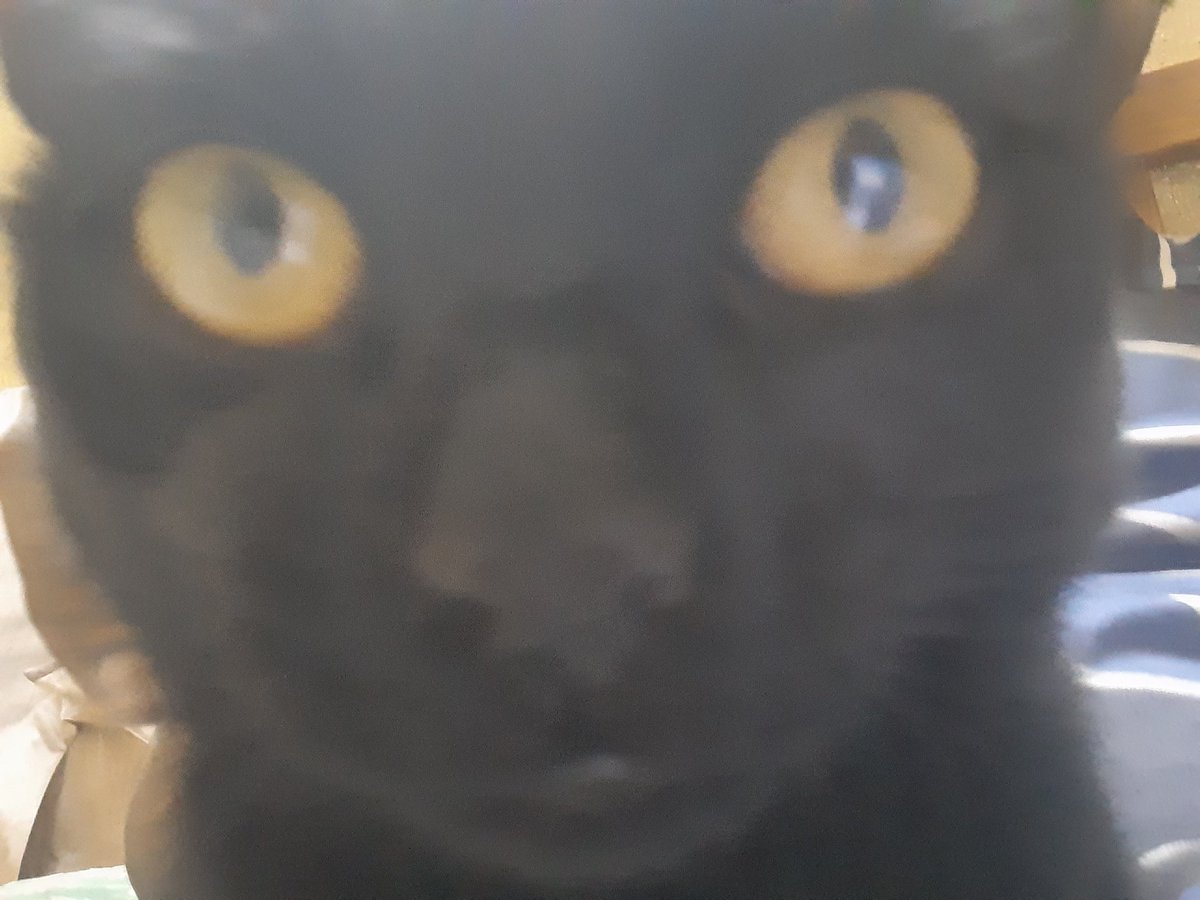 249taj's tweet image. The code:                                        the coder: