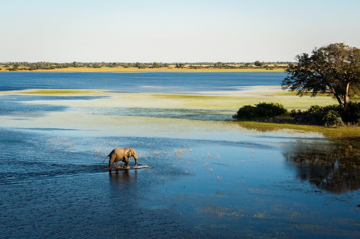 FredRapoo's tweet photo. The beauty of #Botswana🇧🇼 @BotswanaTourism as soon as this lockdown ends come visit my country #Knowbotswana @DonaldInDenial @casspernyovest @akaworldwide https://t.co/oTTkvVMstZ