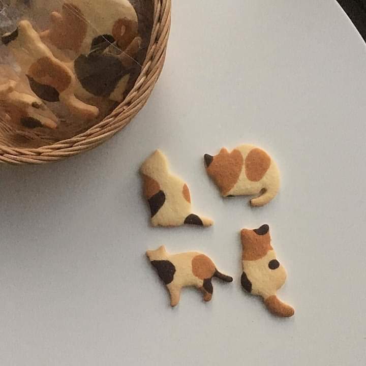 gatitos_qctd's tweet photo. Las galletas perfectas no exis... https://t.co/PYq4sDwVPq