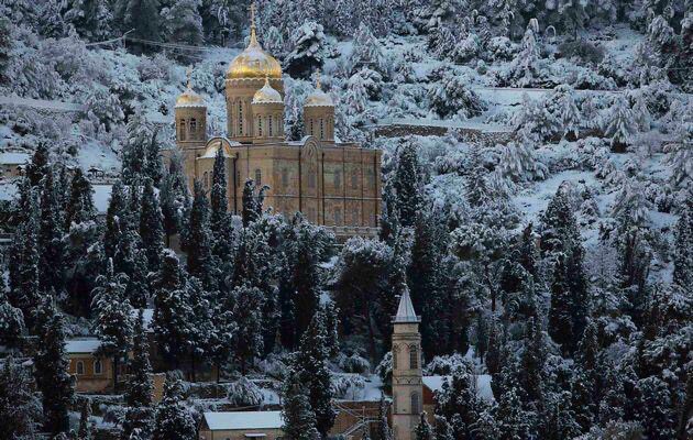 Ain Karem عين كارم is a town in the southwest of Jerusalem, traditions tell that St.John the Baptist was born in it. It had a population of 670 Christians in 1945 & all were expelled to Jordan by zionists. Due to their importance,churches were not destroyed, now used by tourists.