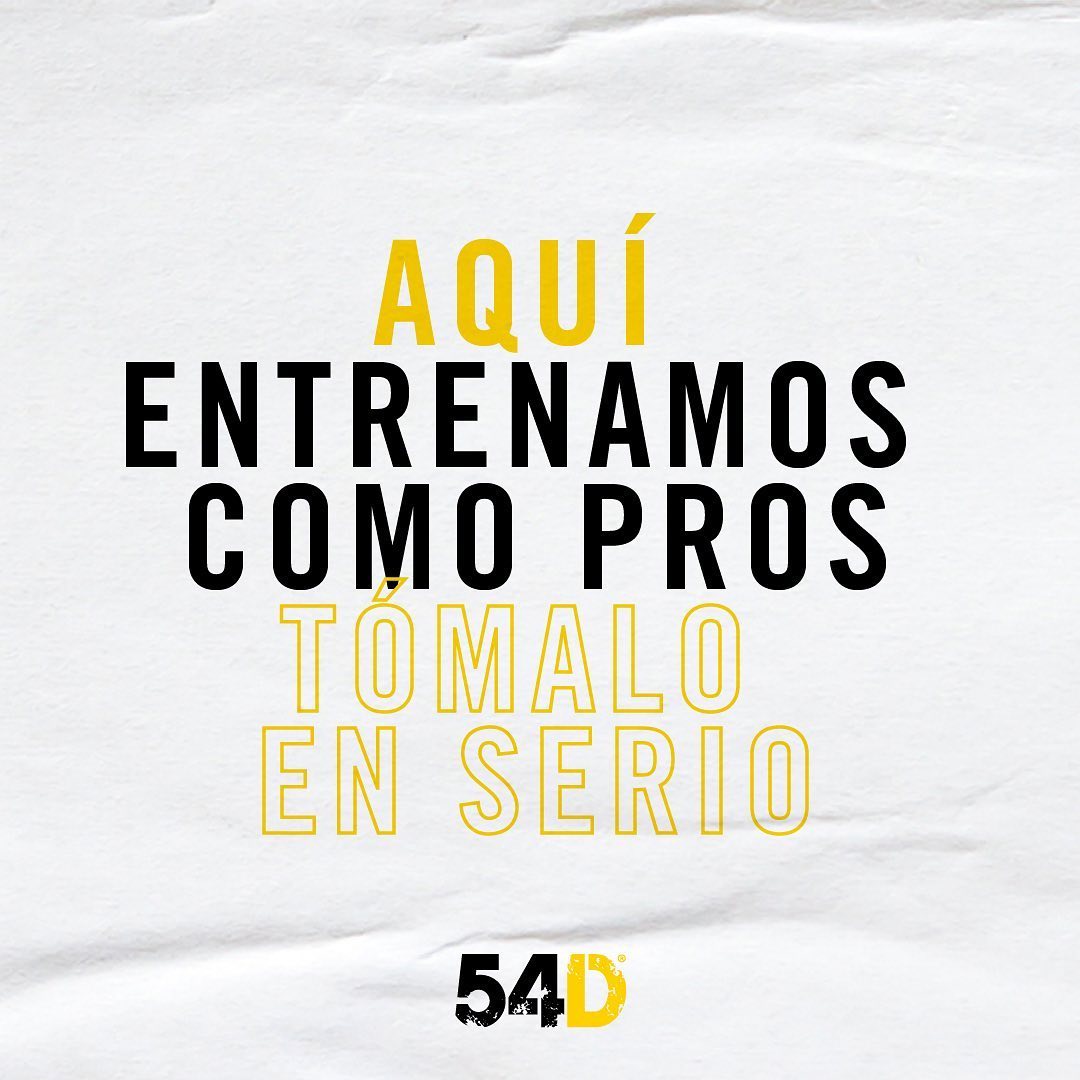54D tweet media