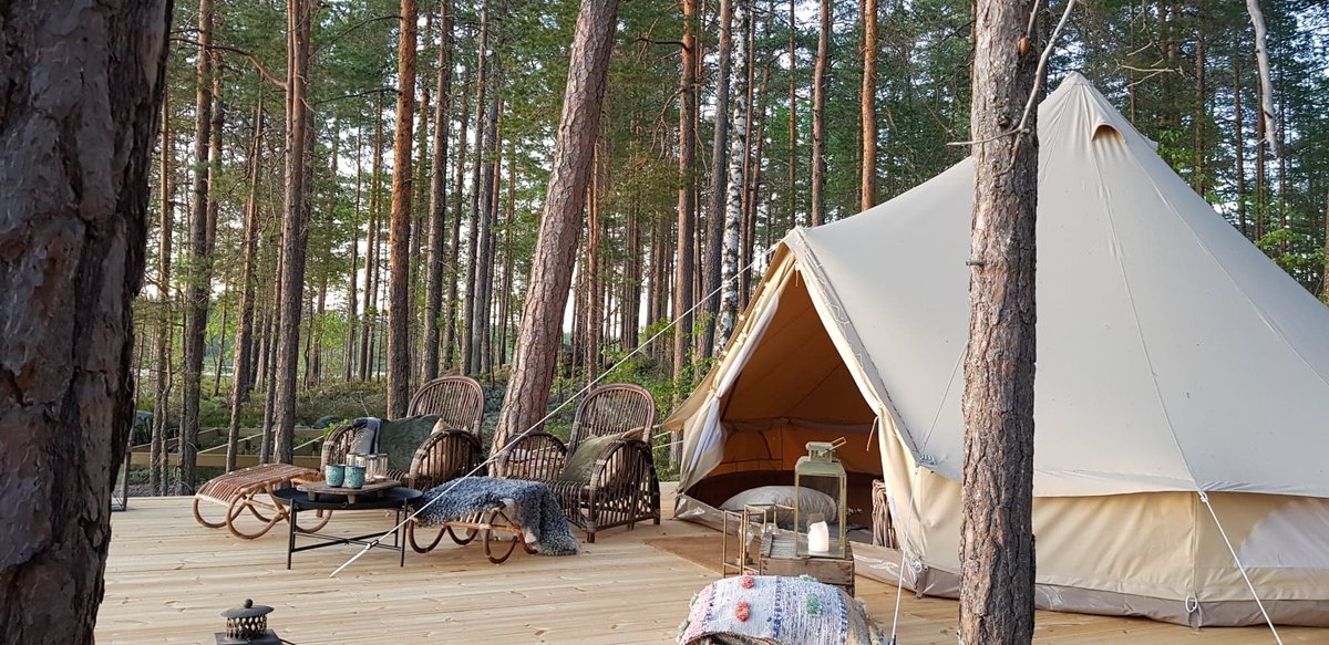 WildSweden tweet media