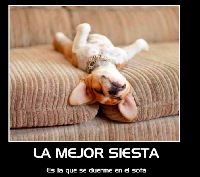 beach_languages's tweet photo. https://t.co/x27iGc0zk7

Have a look at our blog !! Siesta time !!

Este es nuestro blog !! La SIESTA!!

https://t.co/TpDTbrElGf https://t.co/RVqClYwRK9