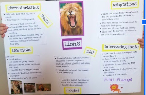 timdunnell's tweet photo. So proud of our 3SD students for their AMAZING Animal Research Projects! Unbelievable accomplishments and equally impressive presentations through our Zoom Meeting today!  More to come! @ani_asmith #KomenskyMatters #D100Inspires #ilschoolsstepup https://t.co/KqOIxp9JZu