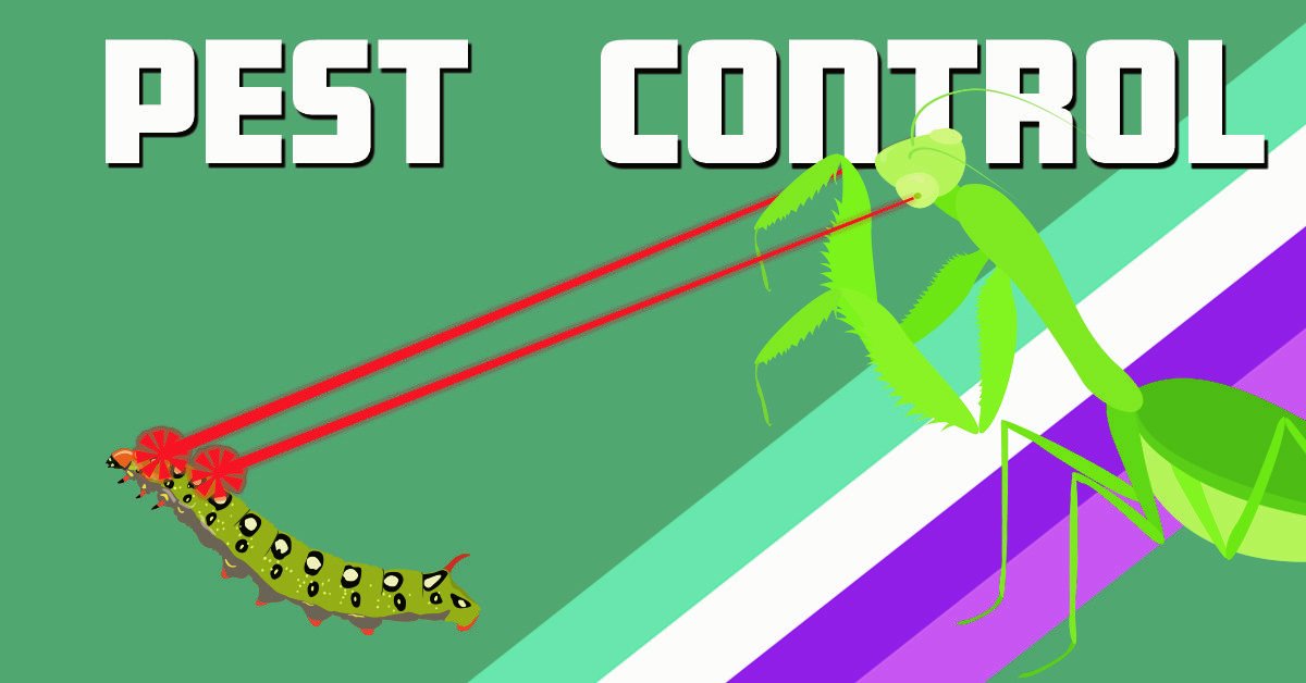 Zamzows's tweet image. Little known fact, Mantids have laser eyes! Okay, that's not true. I don't know if it would be super cool or terrifying if they did. They eat a lot of bugs though, and finding them in your garden is a fun surprise.#organic #bugcontrol #mantids