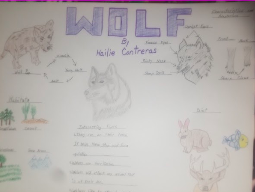 timdunnell's tweet photo. So proud of our 3SD students for their AMAZING Animal Research Projects! Unbelievable accomplishments and equally impressive presentations through our Zoom Meeting today!  More to come! @ani_asmith #KomenskyMatters #D100Inspires #ilschoolsstepup https://t.co/KqOIxp9JZu