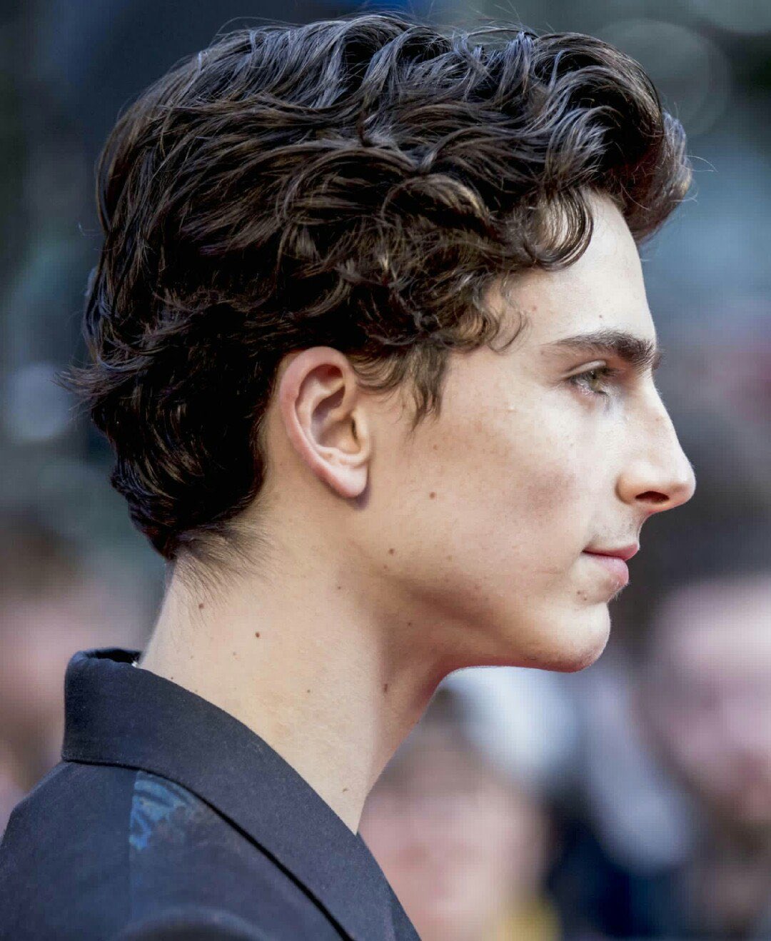 char 🗝 on X: “and that’s on timothée chalamet’s side profile have 
