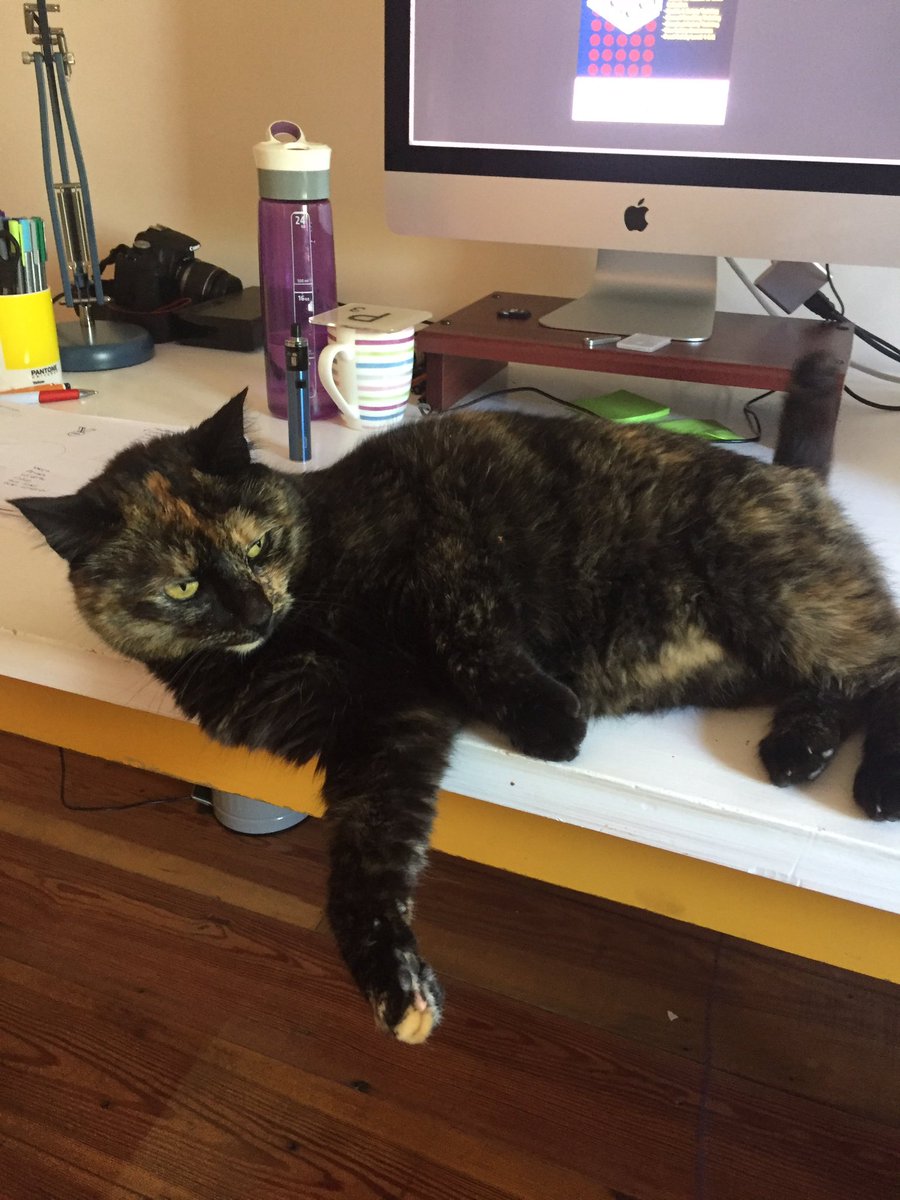 Day 7/7life in pictures. Rules no people no words. Nominate someone new each day. Thanks to 
<a href="/JackGregan/">Jack Gregan</a>
 for nominating me -  Today I nominate 
@tsnetwork_ie