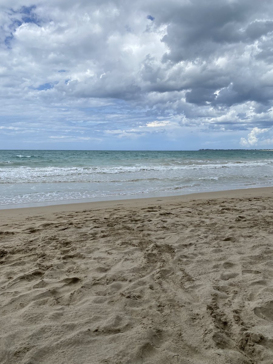 Francisco R Perez tweet media
