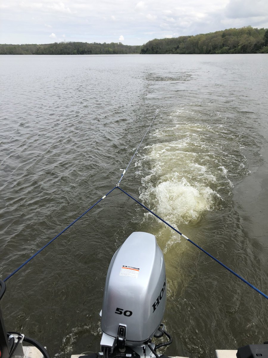 Mike Vanni (@mjvanni) on Twitter photo Year 27 of our Acton Lake ecology research in progress! Truly grateful for @NSF_BIO funding the entire time, and <a href="/OhioDivWildlife/">Ohio Div of Wildlife</a> support for several years. Dozens of graduate and undergrad students supported! #LakesAndHonor <a href="/MiamiOH_ResInno/">Miami University Office of Research and Innovation</a> <a href="/JasonWOsborne/">Jason W. Osborne Miami University</a> @taurocephala Year 27 of our Acton Lake ecology research in progress! Truly grateful for @NSF_BIO funding the entire time, and <a href="/OhioDivWildlife/">Ohio Div of Wildlife</a> support for several years. Dozens of graduate and undergrad students supported! #LakesAndHonor <a href="/MiamiOH_ResInno/">Miami University Office of Research and Innovation</a> <a href="/JasonWOsborne/">Jason W. Osborne Miami University</a> @taurocephala