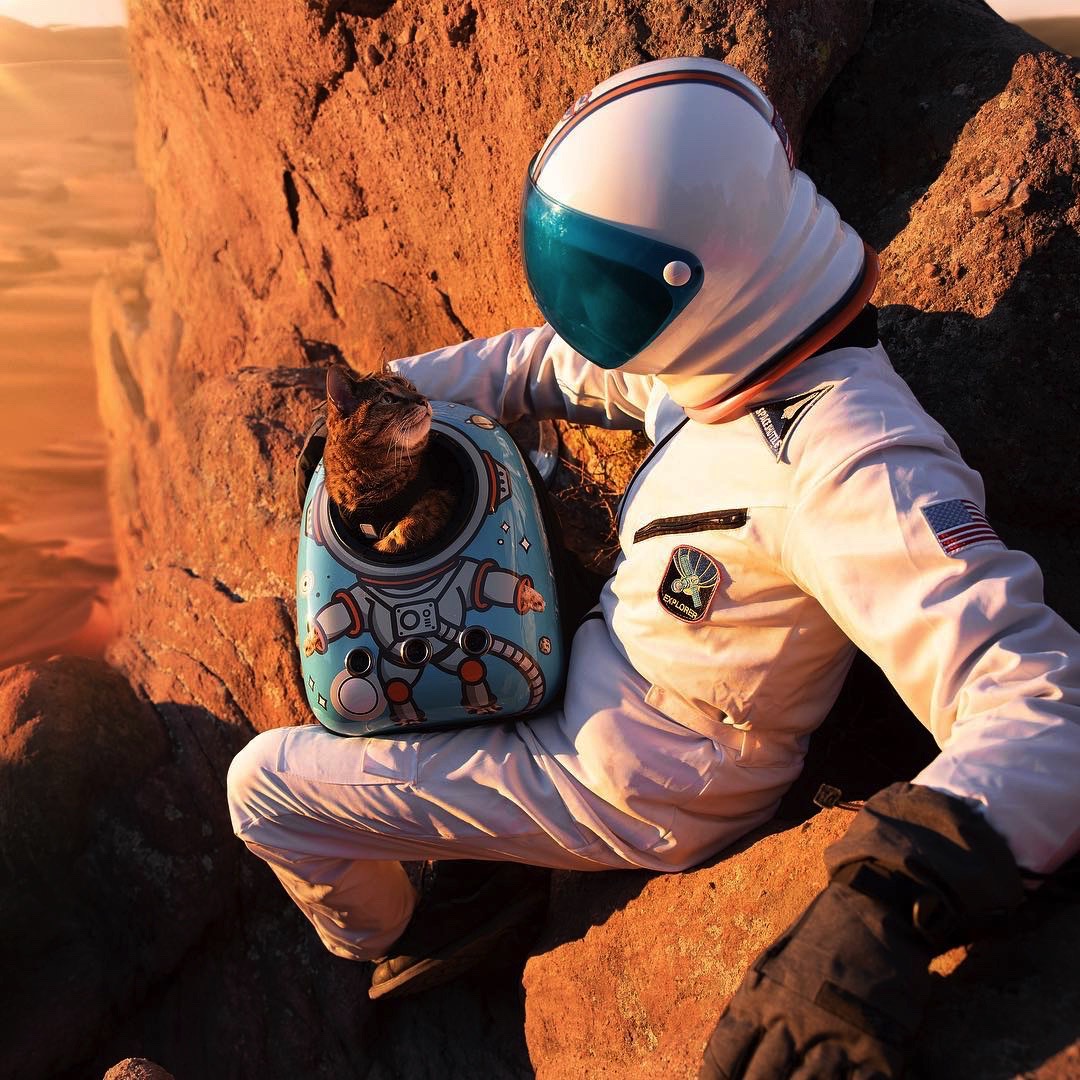 BostonHeath's tweet photo. Happy Launch day from me and Everett 😸 #LaunchAmerica @NASA https://t.co/bydynQIKzM