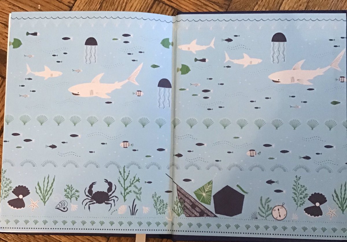 2) Twenty Thousand Leagues Under The Sea, Jules Verne. Printed by Sterling Publishing as a B&N exclusive. Cover&Endpapers by Bethan Janine Watson. ISBN 978-1-4351-6215-0.Another one with nice endpapers and silver pages. One of my favorite Verne stories,and it was like, $10.